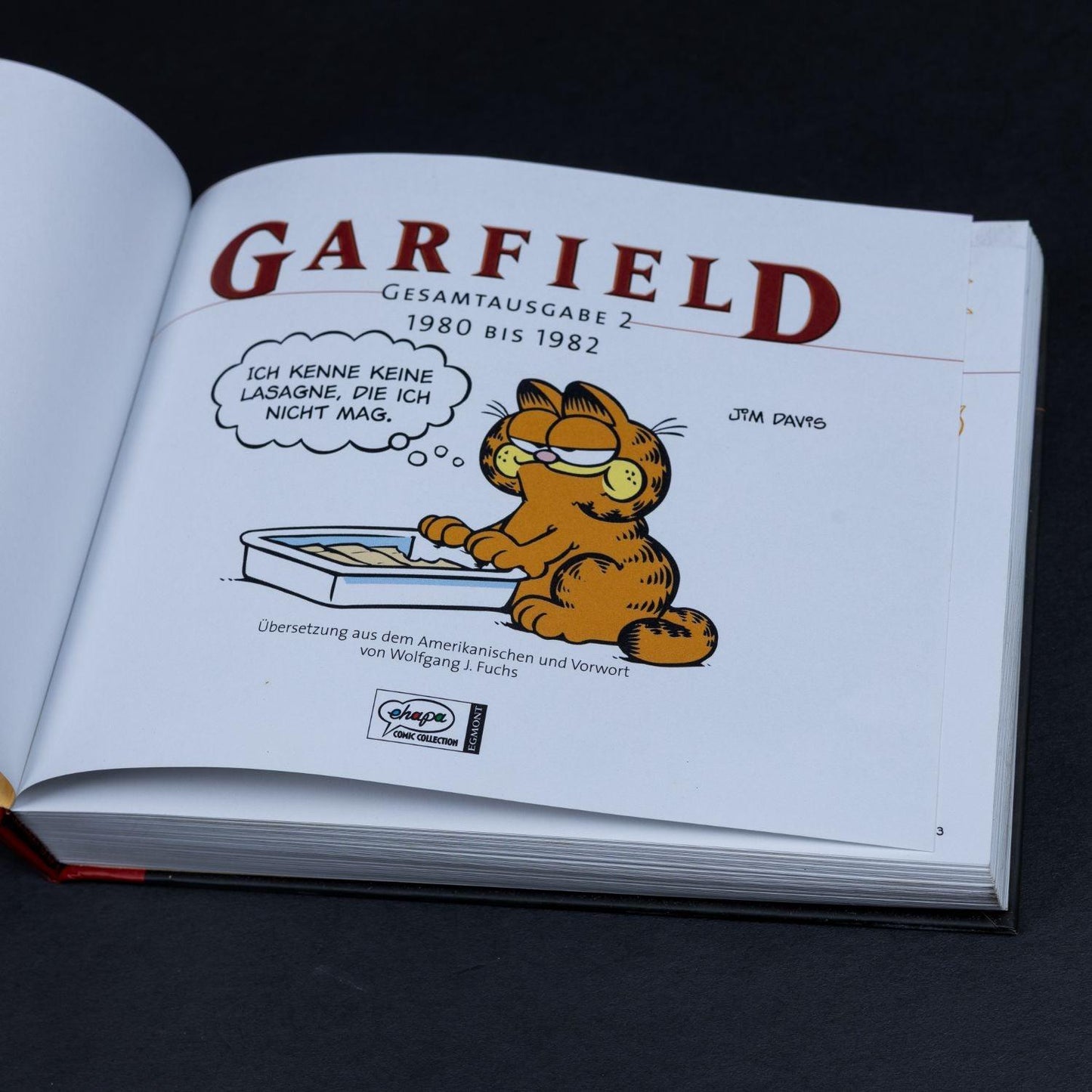 garfield-gesamtausgabe-2-1980-bis-1982-jim-davis-comic-sammelband-5 - Utopia Collectibles