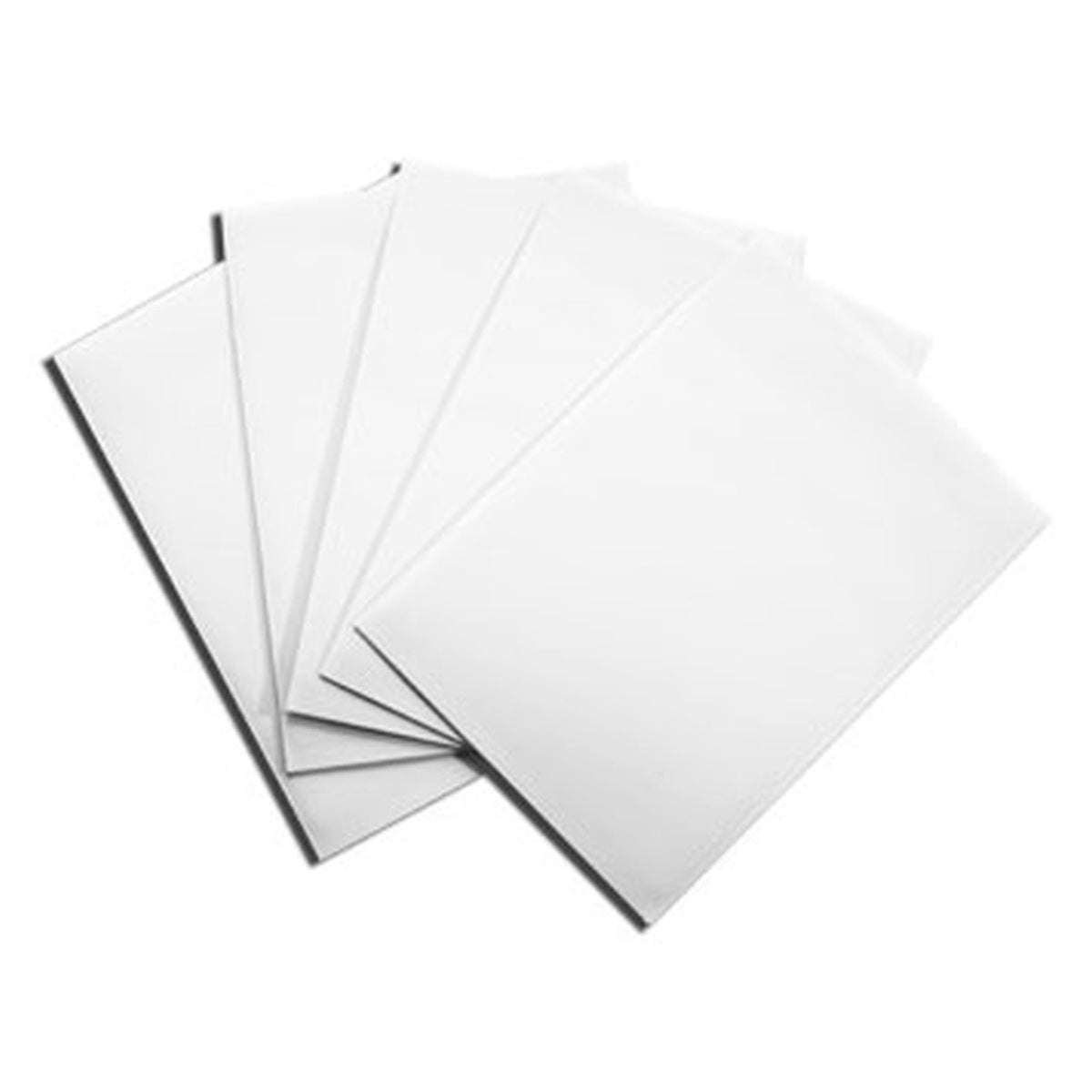 Dragon Shield: White (100) - Kartenhüllen - Neu & OVP