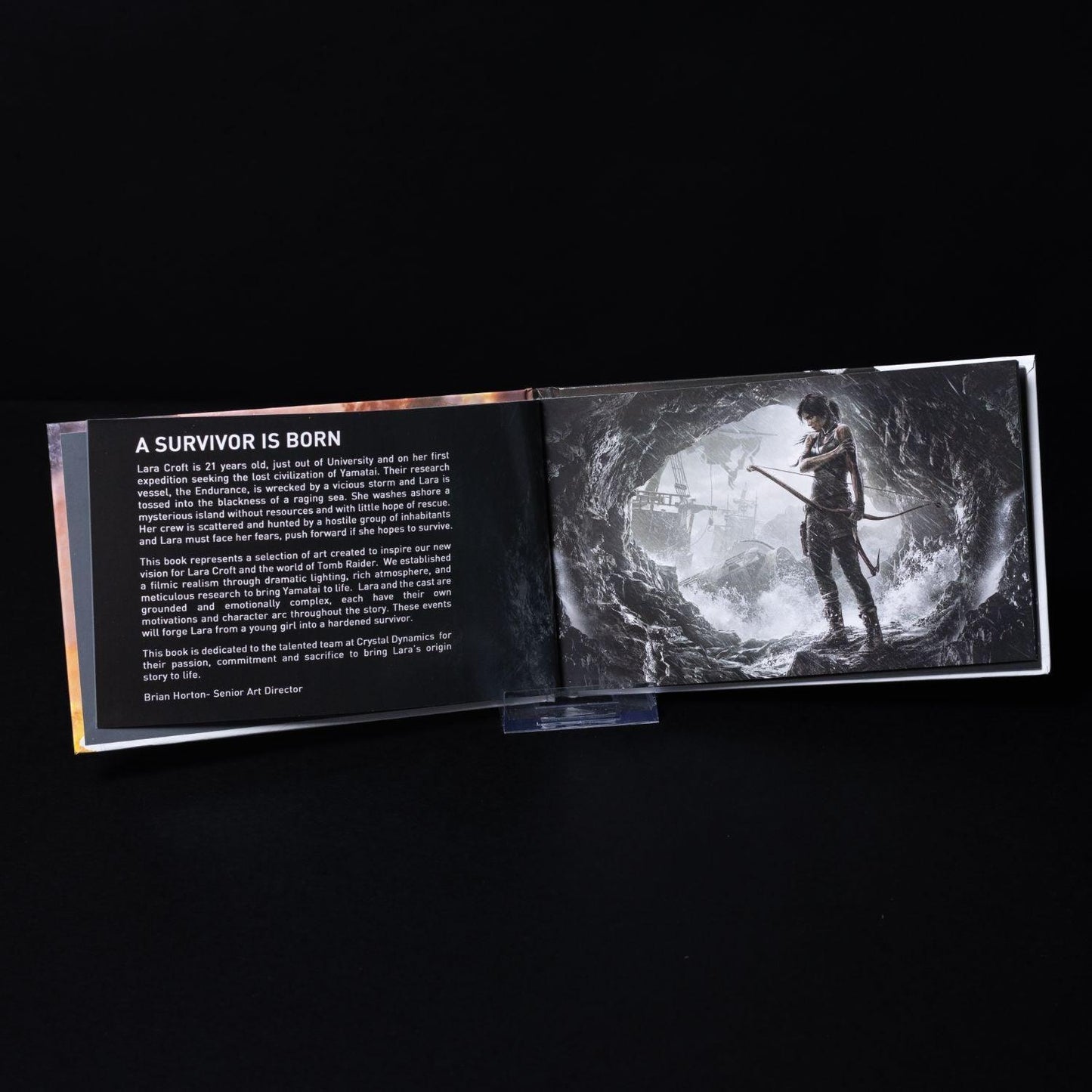 tomb-raider-survival-edition-xbox-360-big-box-cib-zustand-sehr-gut-11 - Utopia Collectibles