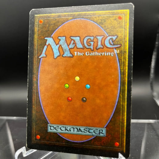 Magic The Gathering - Tundra - 3ED Revised - Englisch - GOOD