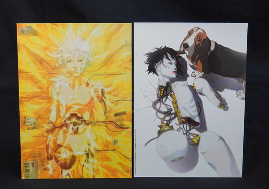 Ghost in the Shell 2 Innocence - Anime DVD mit Schuber - CiB - Deutsch Gebraucht