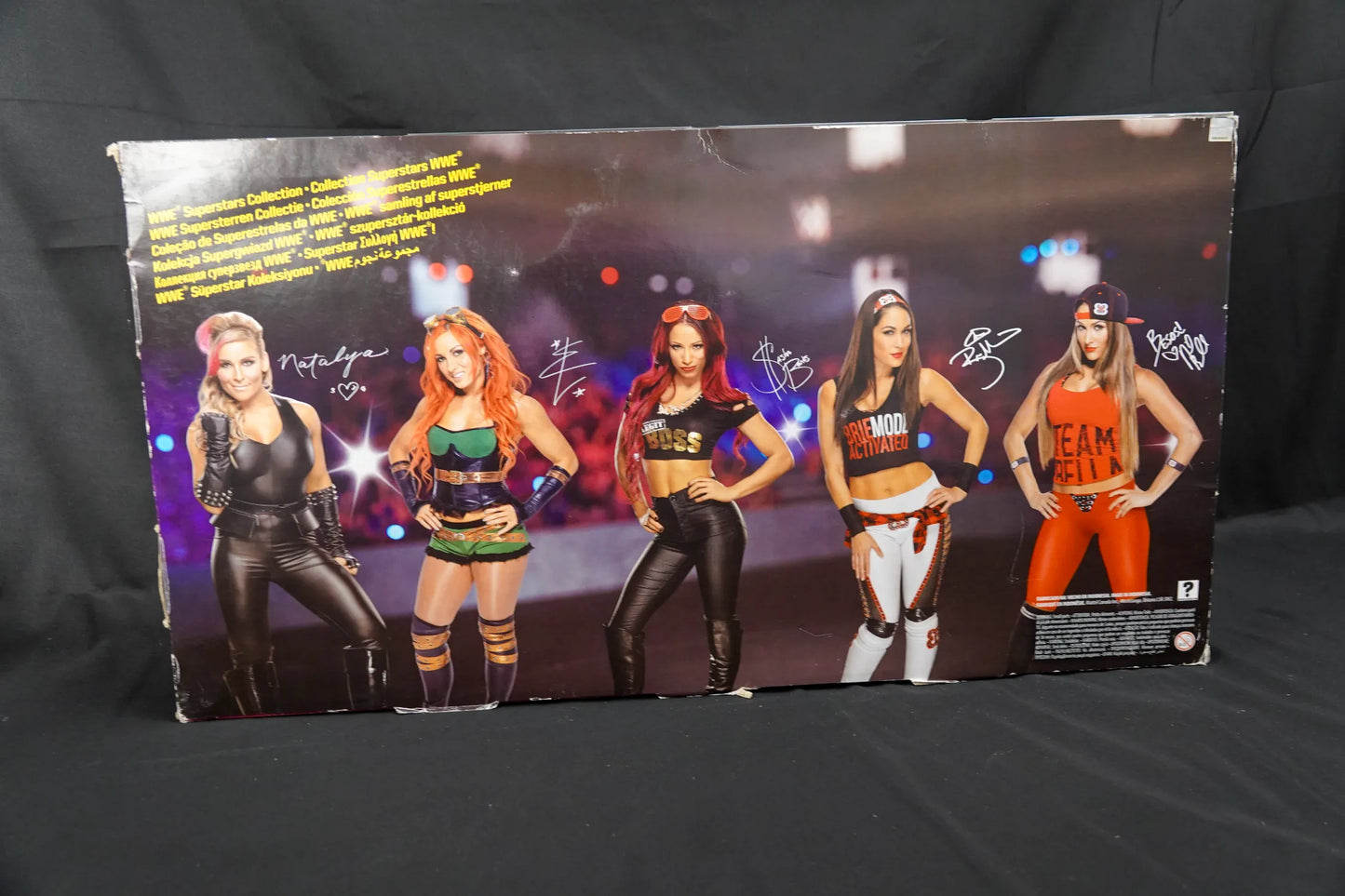 WWE Wrestling Superstars Collection - Mattel Puppen - Modell FMR60 - OVP