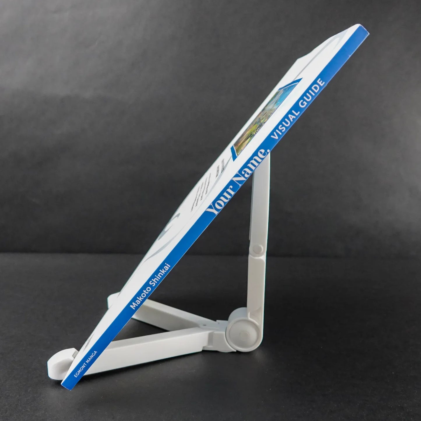 Your Name - Visual Guide - Egmont Manga - Deutsche Auflage - Gebraucht