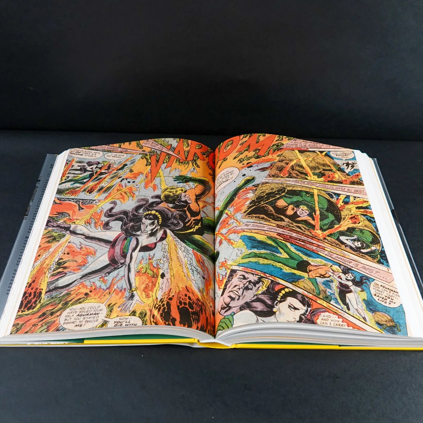 The Silver Age of DC Comics - TASCHEN Verlag - Paul Levitz - Hardcover