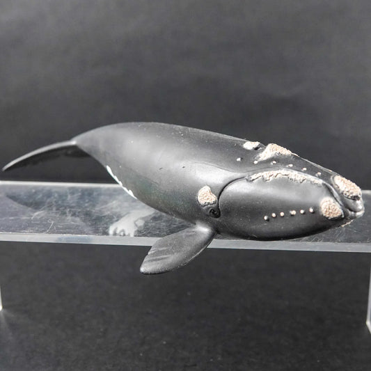 Schleich Tier Figur: Nordatlantischer Glattwal - Modell 14878 - Mit Fähnchen