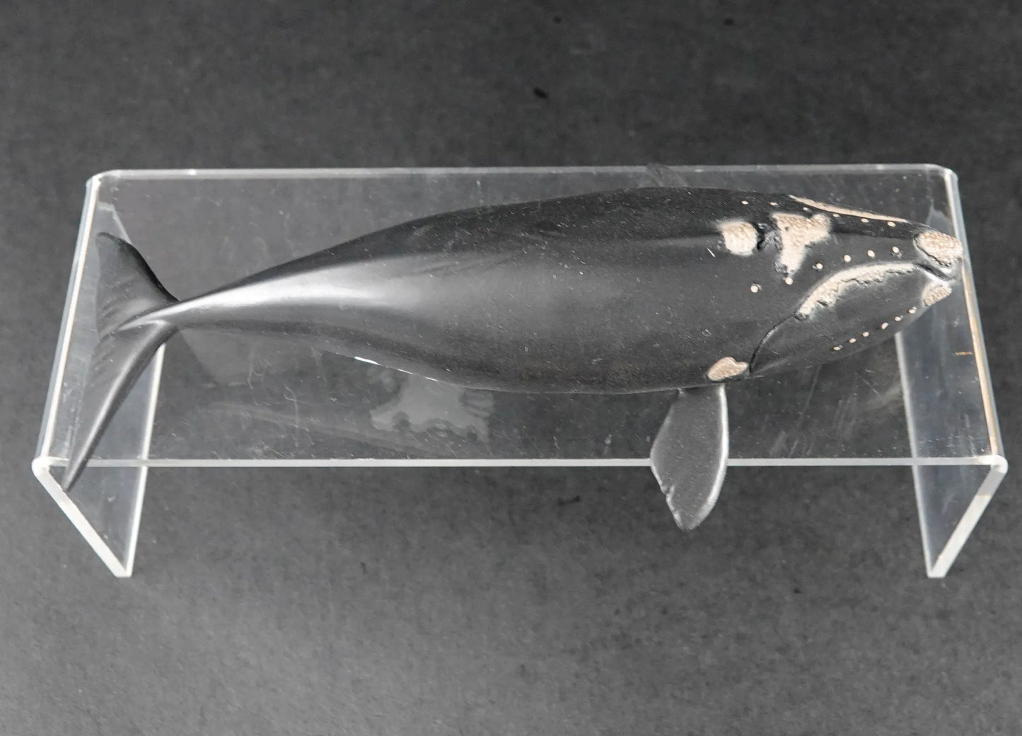 Schleich Tier Figur: Nordatlantischer Glattwal - Modell 14878 - Mit Fähnchen