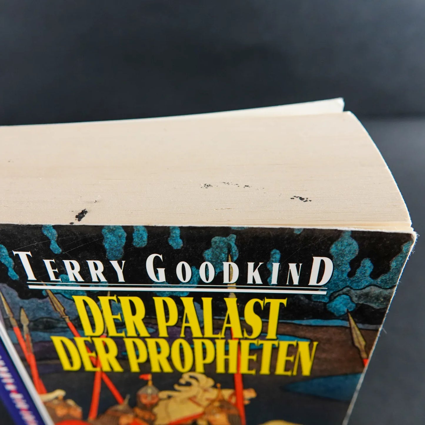 Terry Goodkind Roman - Das Schwert der Wahrheit 4 - Der Palast der Propheten