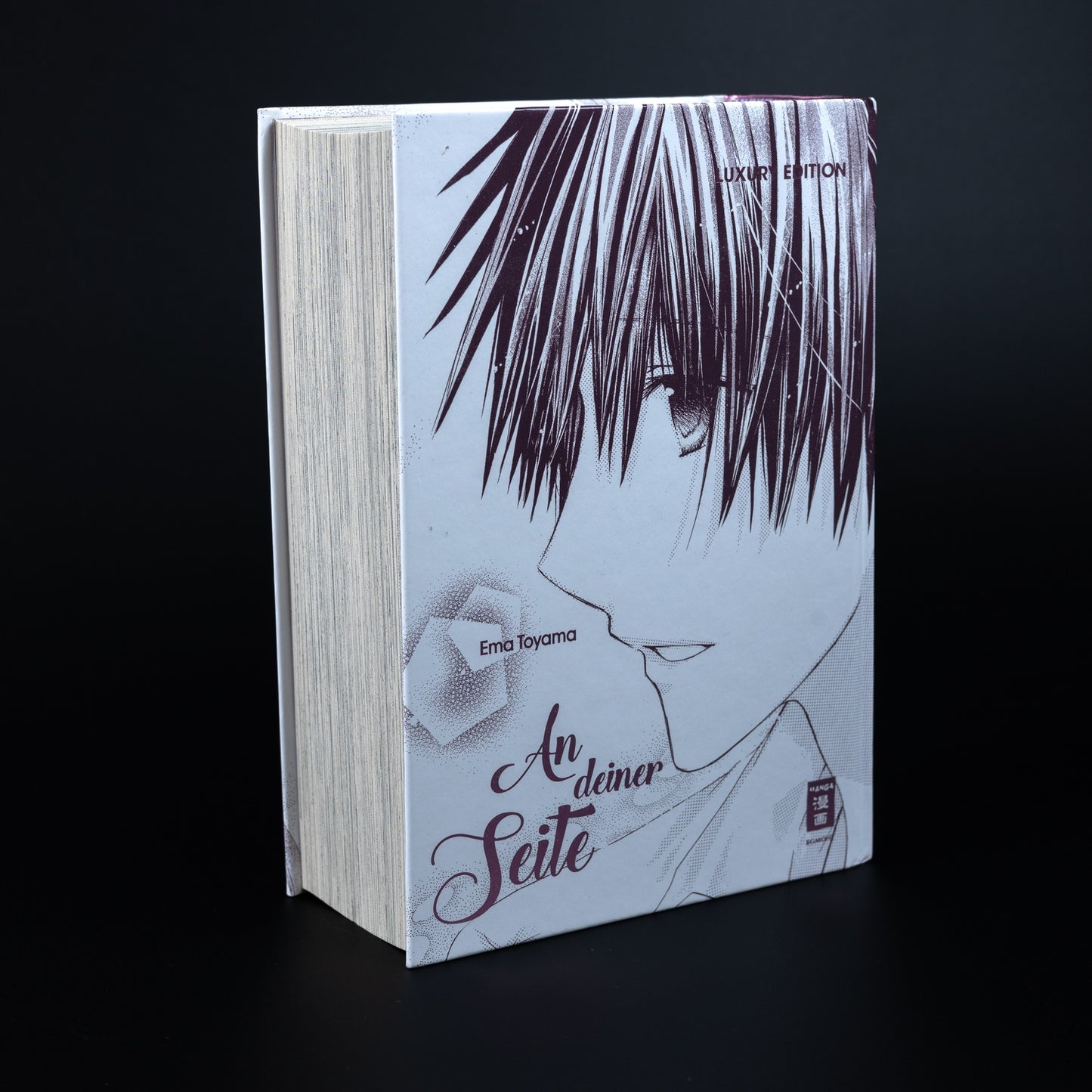 An deiner Seite (Koko ni iru yo) - Hardcover Manga - Luxury Edition -  Deutsch