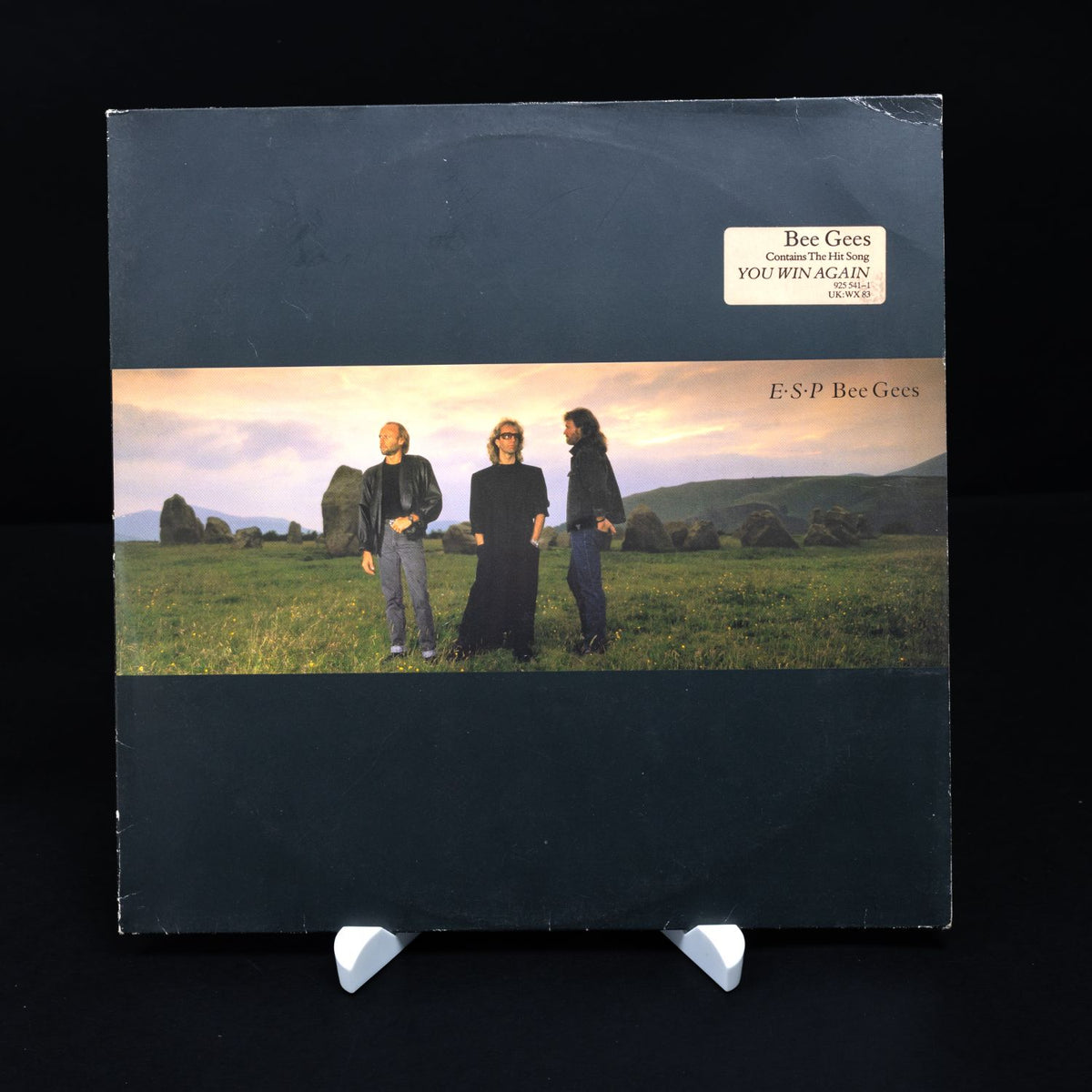 Bee Gees - E∙S∙P - Vinyl LP Schallplatte - Electronic - NM / VG