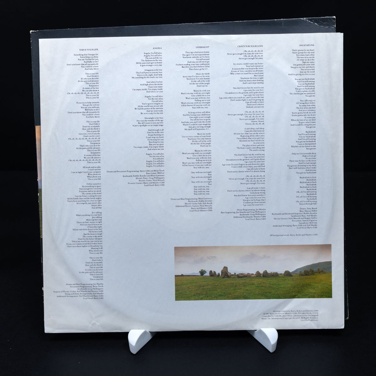 Bee Gees - E∙S∙P - Vinyl LP Schallplatte - Electronic - NM / VG