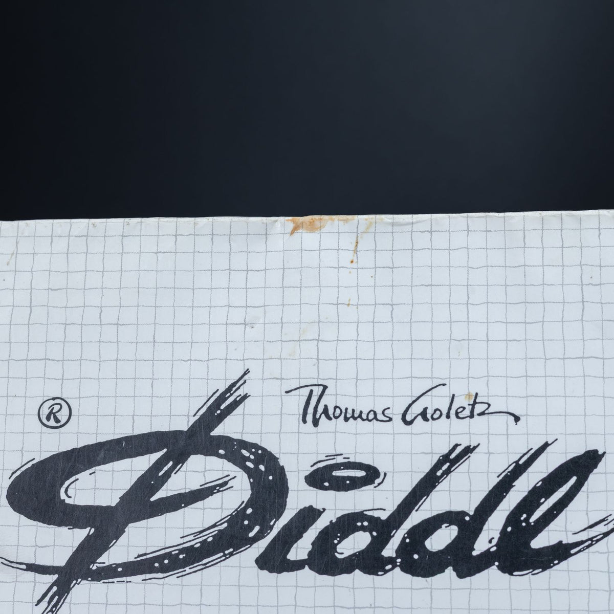 Diddl DIN A4 Block - 35 Blatt - Diddl mit Tulpen - Art. Nr. 1318.001