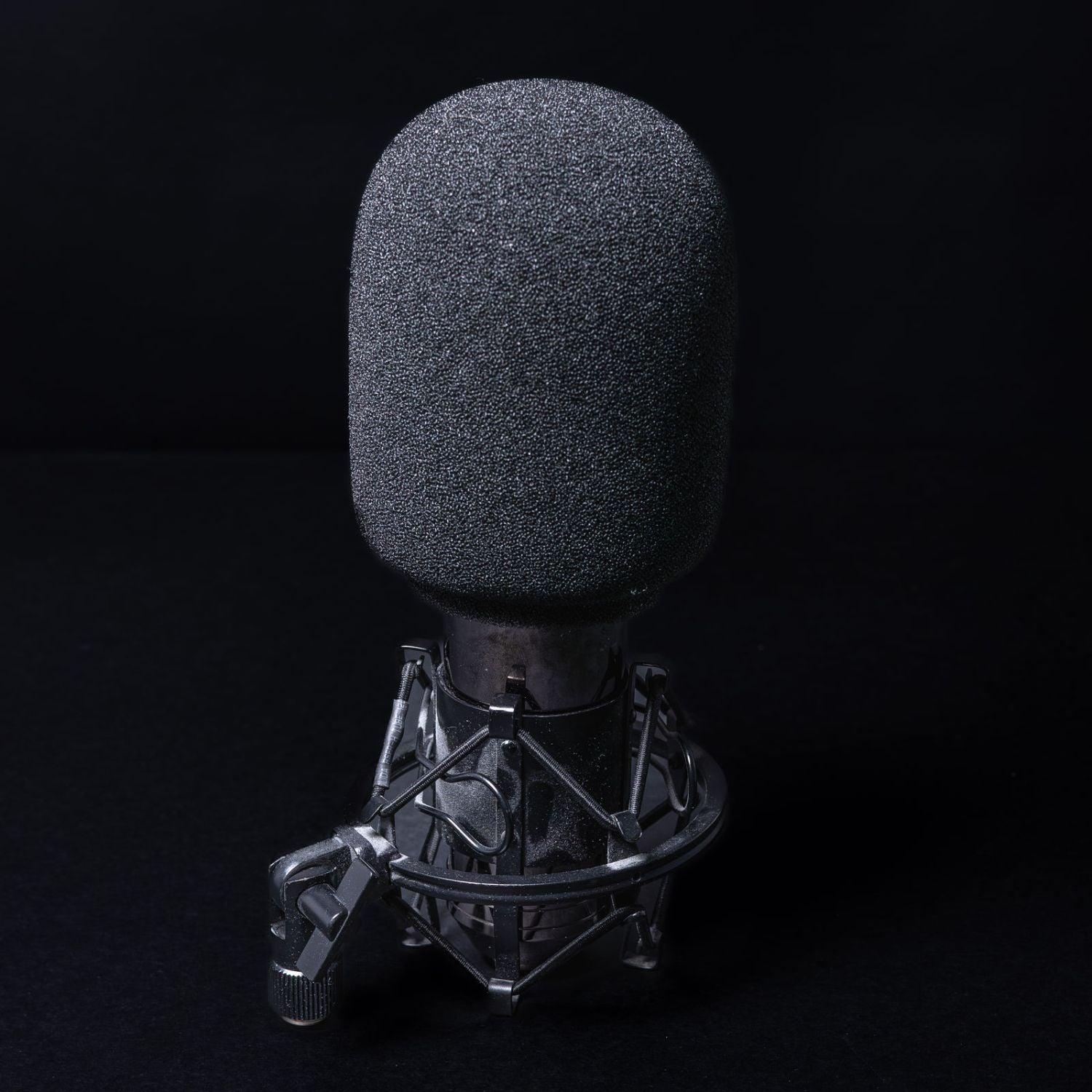 fame-c01-deluxe-grossmembran-kondensator-mikrofon-gebraucht-mit-spinne-1 - Utopia Collectibles