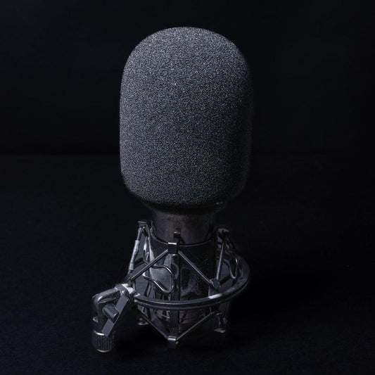 fame-c01-deluxe-grossmembran-kondensator-mikrofon-gebraucht-mit-spinne-1 - Utopia Collectibles