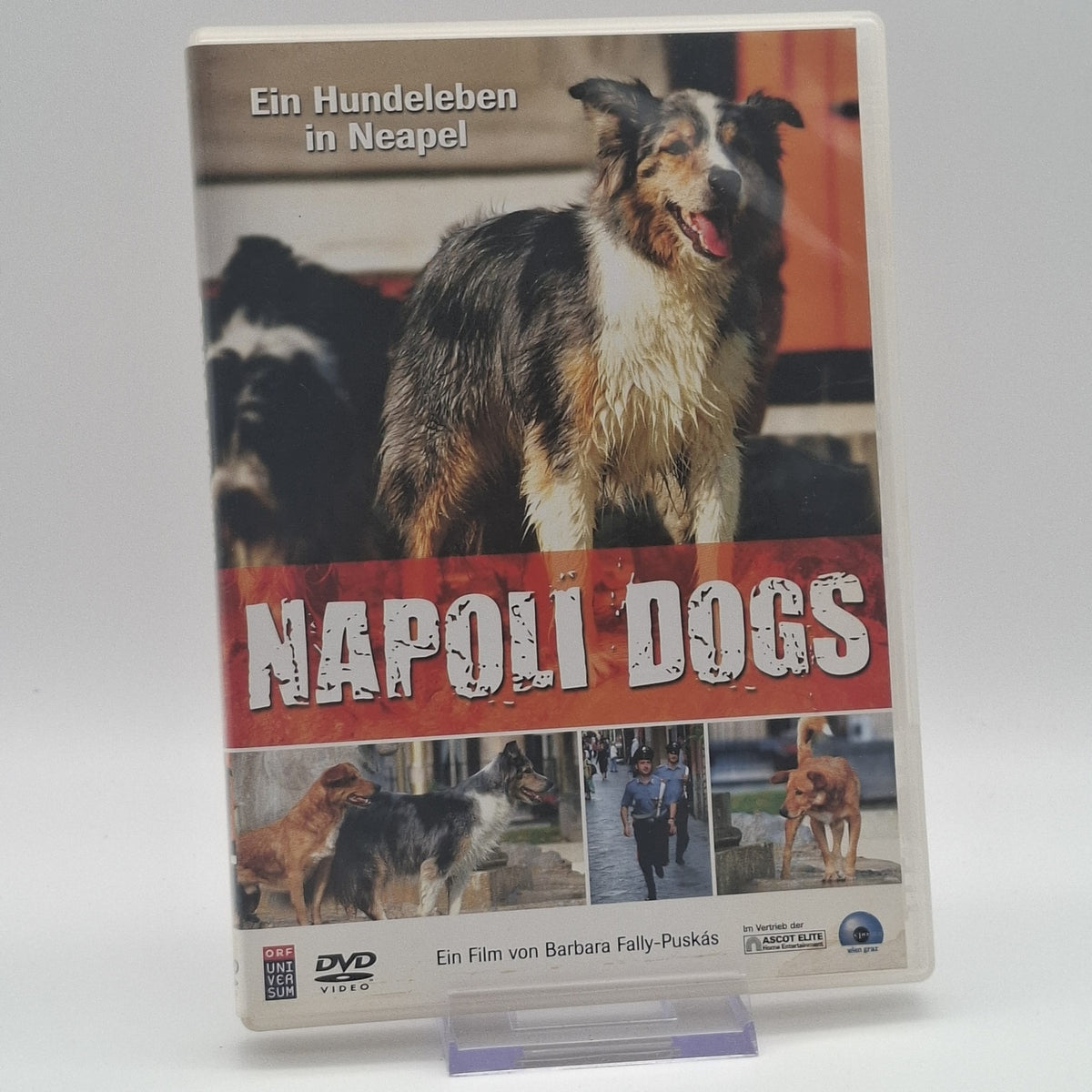 Napoli Dogs - Ein Hundeleben in Neapel - DVD - Film - Zustand Sehr Gut