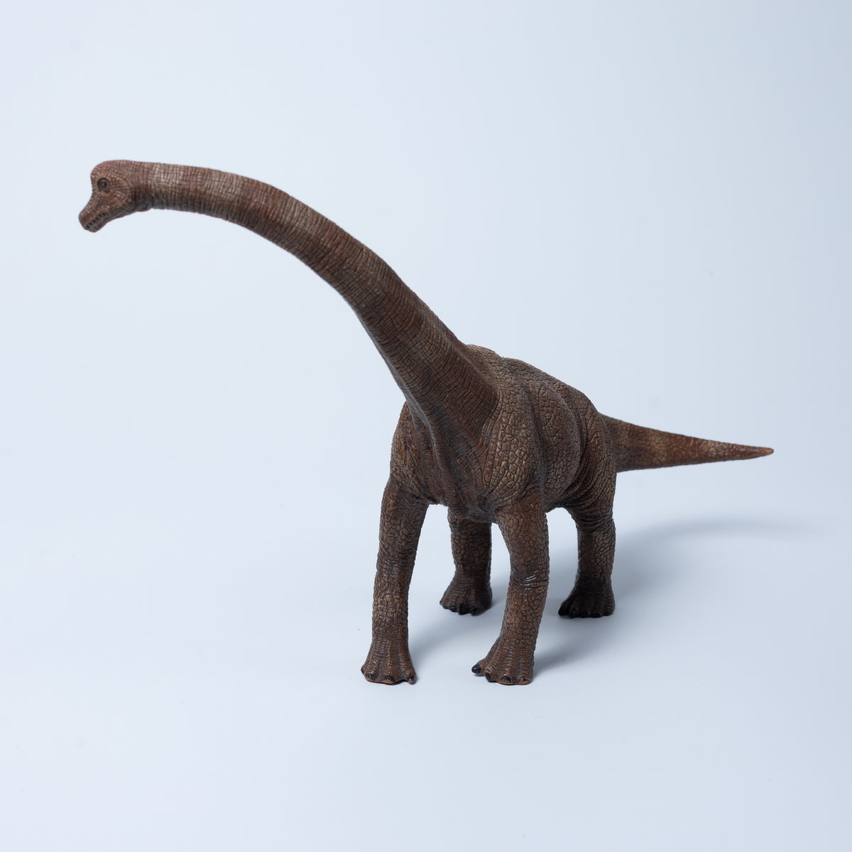 Schleich Tier Figur: Brachiosaurus (2011) - 14515 - Zustand Sehr Gut