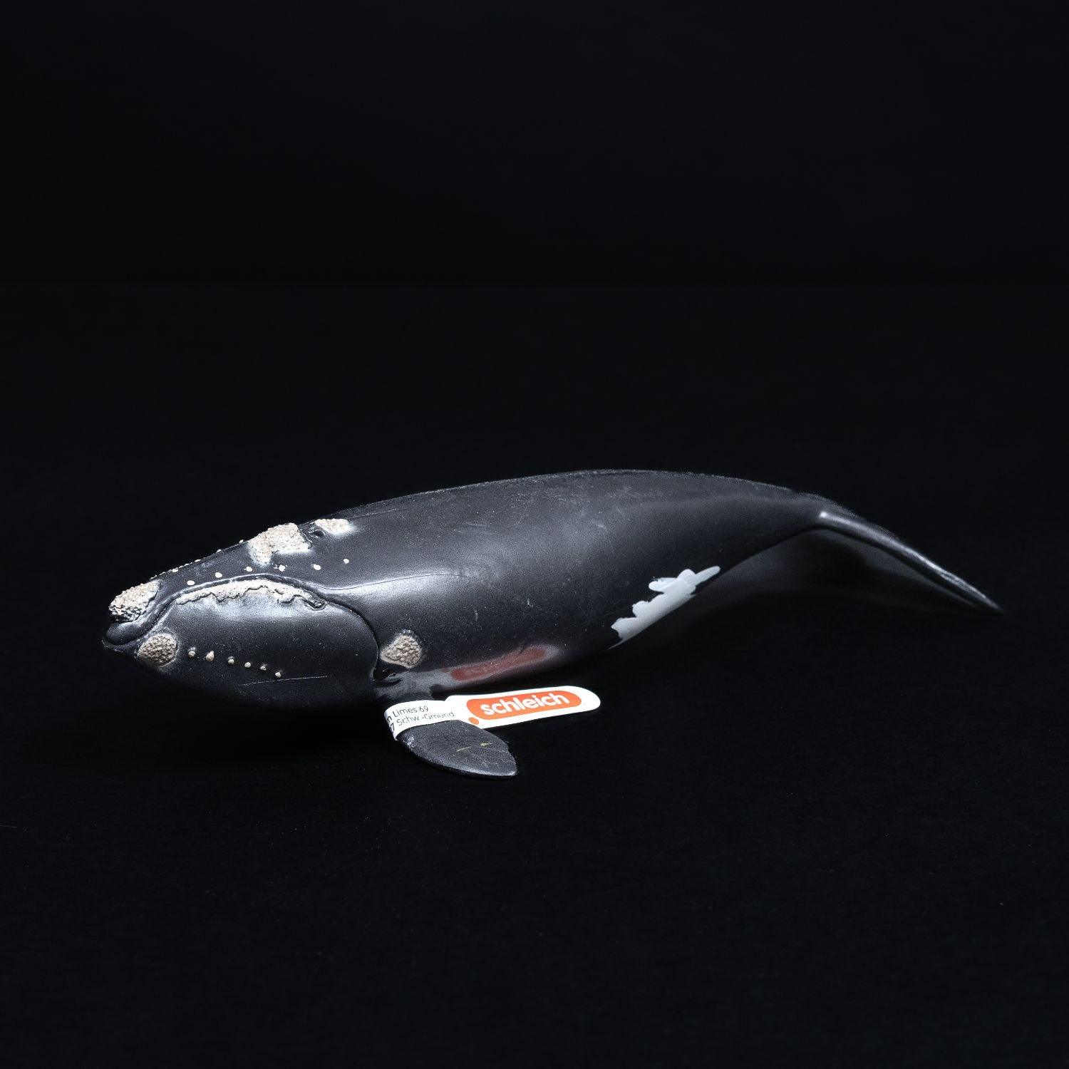 schleich-tier-figur-nordatlantischer-glattwal-modell-14878-mit-faehnchen-1 - Utopia Collectibles