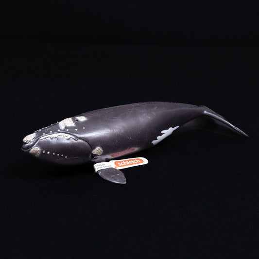 schleich-tier-figur-nordatlantischer-glattwal-modell-14878-mit-faehnchen-2 - Utopia Collectibles