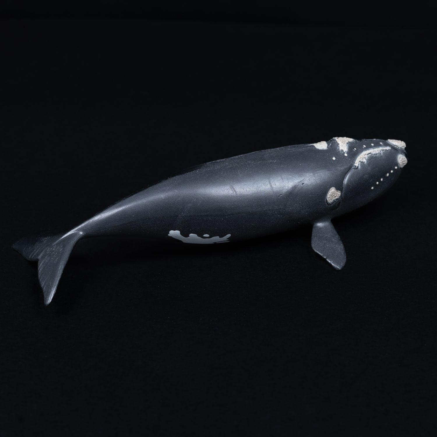 schleich-tier-figur-nordatlantischer-glattwal-modell-14878-mit-faehnchen-3 - Utopia Collectibles