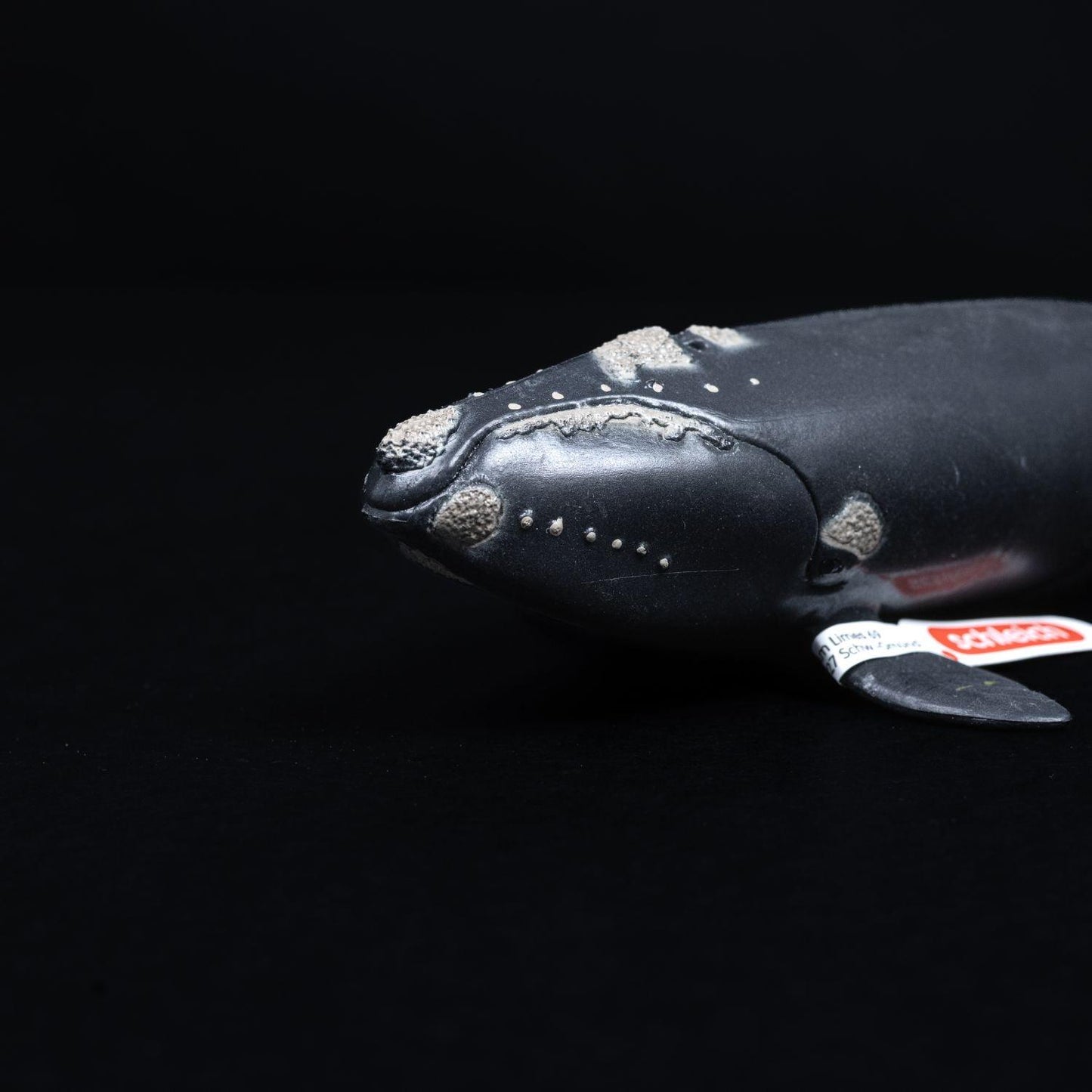 schleich-tier-figur-nordatlantischer-glattwal-modell-14878-mit-faehnchen-4 - Utopia Collectibles