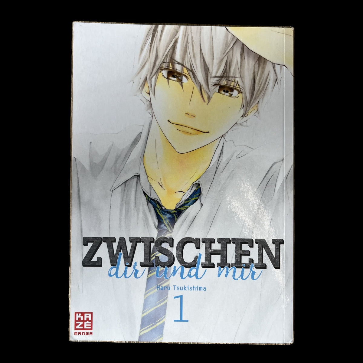 Zwischen dir und mir - Band 1-7 - KAZÉ - Deutsch - Haru Tsukishima - Manga